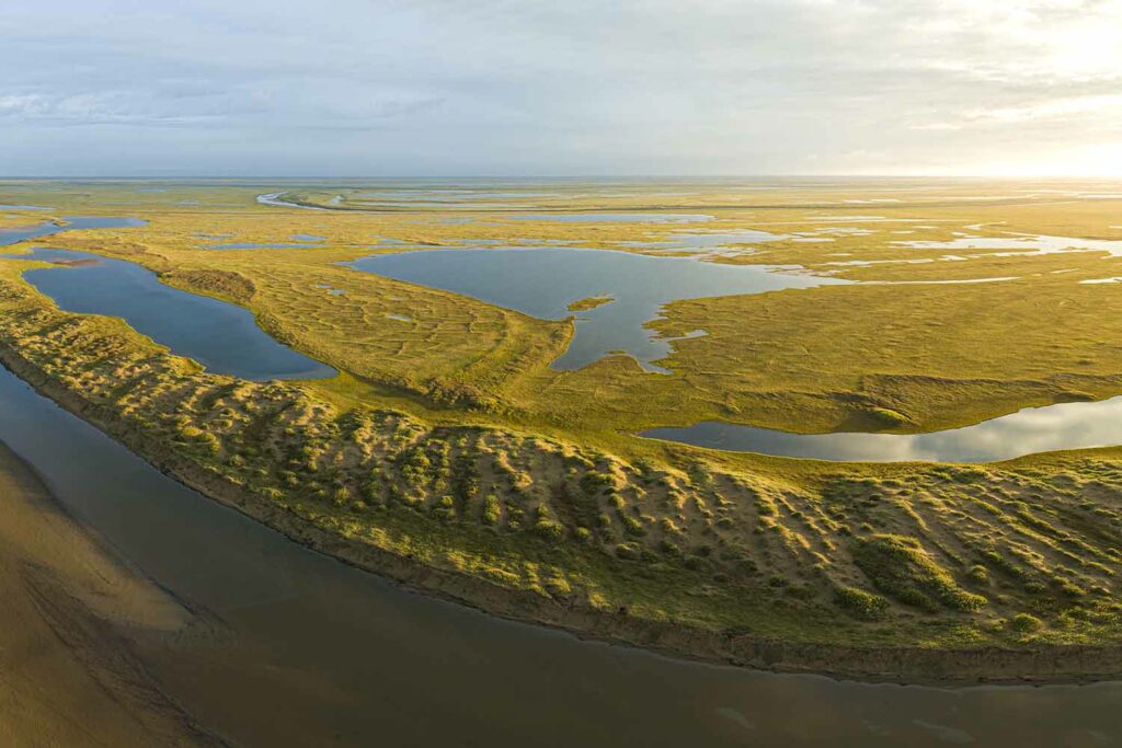 Teshekpuk Wetlands Habitat. Photo by Gerrit Vyn
